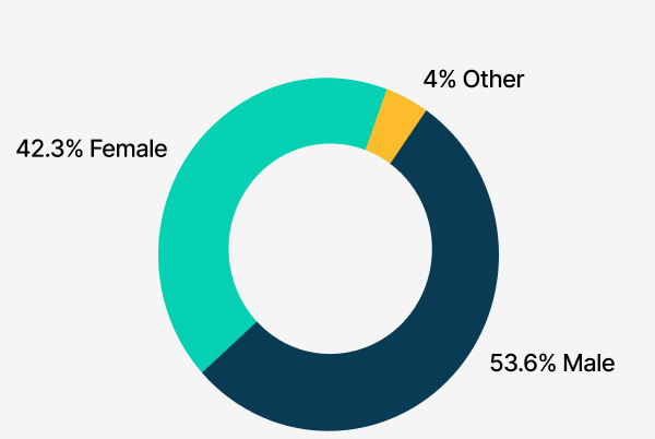 Pie Graph displaying breakdown of workforce by management. 42 percent female, 53 percent male, 4 percent other.